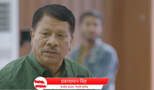 बहुमत छ भन्दैमा विधि र नियम मिच्नु भएन : प्रकाशमान सिंह